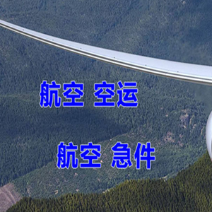 景德镇罗家航空快递快递-选东方航空和上海航空